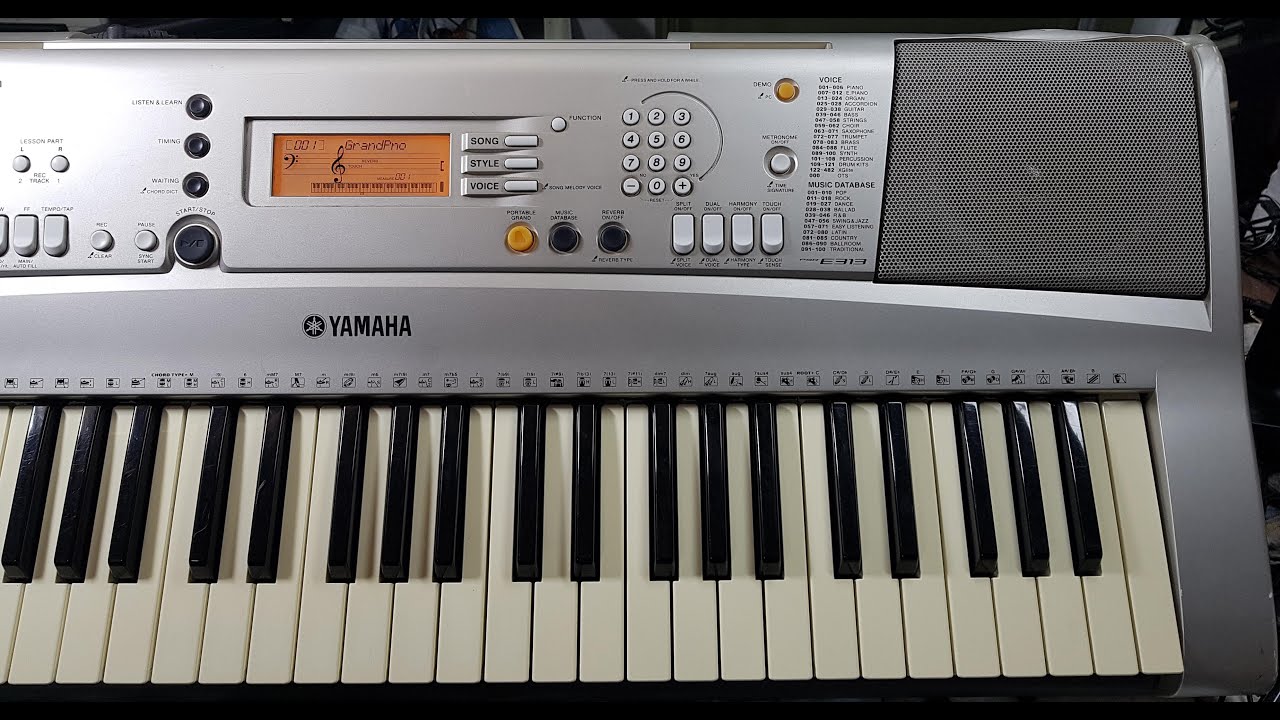 YAMAHA PSR - e313 (DEMO songs) part 3/3