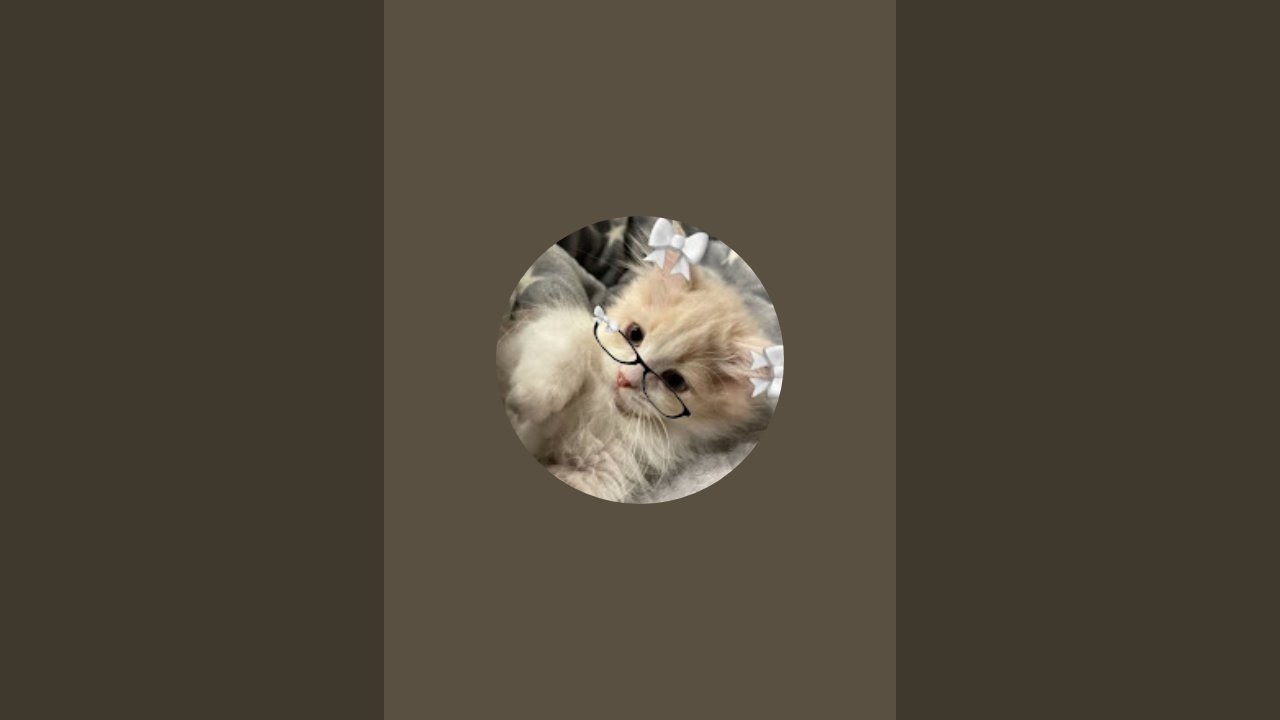🌸Vαηєѕѕкαɞ_Rσвℓσχ🌸 nadaje na żywo