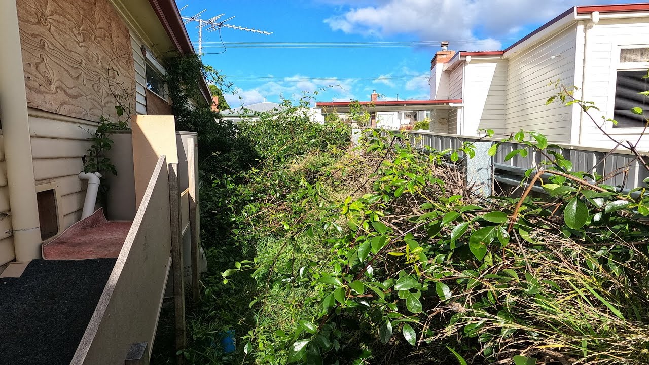 Garden Catastrophe Finally Rescued | This One Was Really Wild