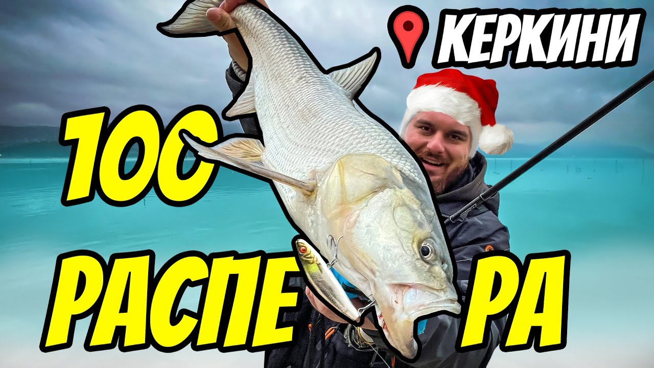 УБИЙСТВЕН риболов на РАСПЕРИ! Дърпат се като за СВЕТОВНО!