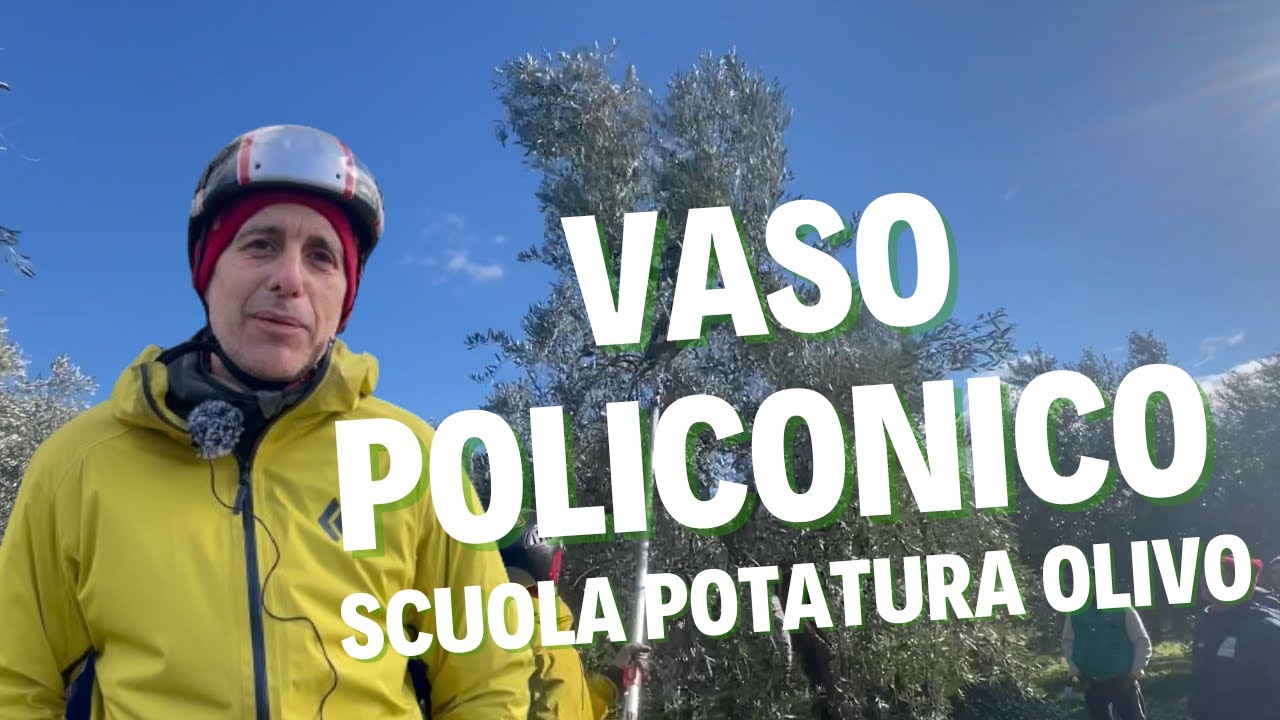 Toni Lonobile e la Potatura a Vaso Policonico