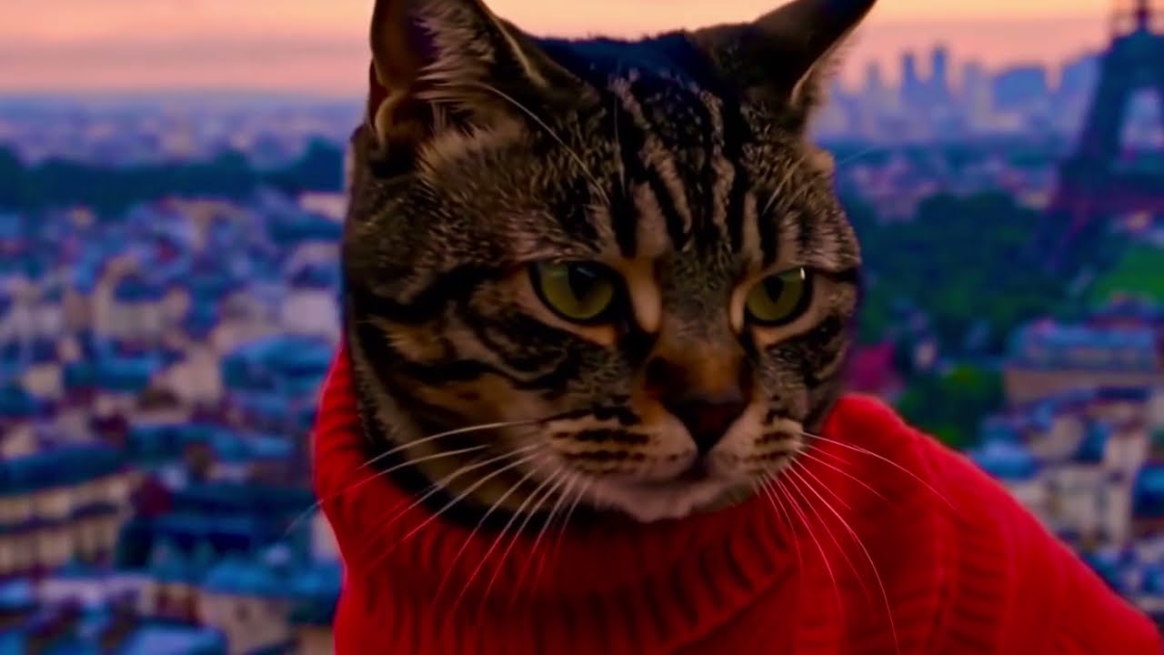 Red Cat 