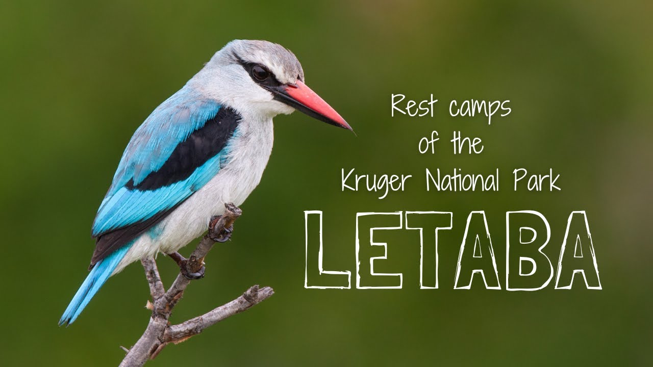 LETABA Rest Camp & Game Viewing Review | Kruger National Park