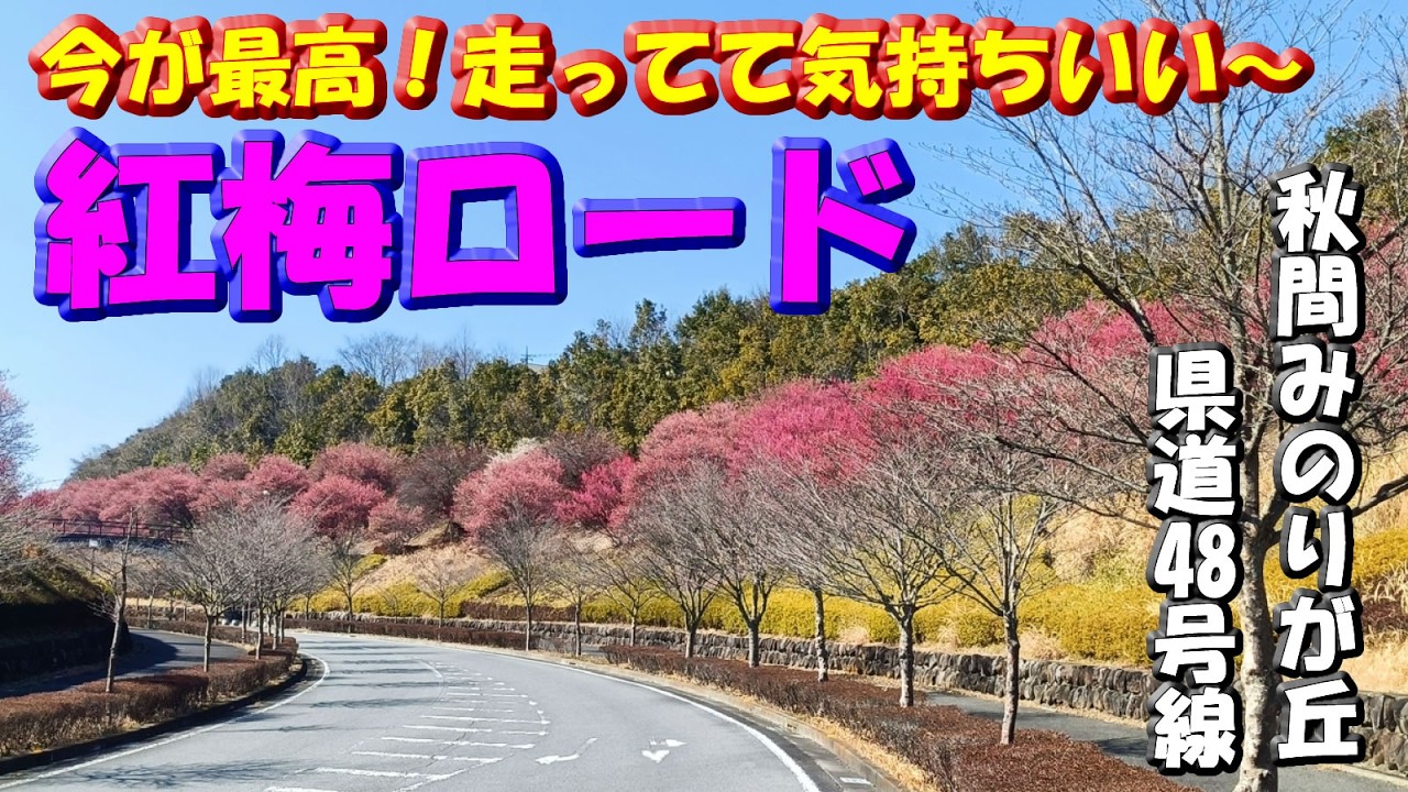 紅梅ロード【群馬の知られざる道】最高に気持ちいい！絶景スポット「天空の丘」がある安中榛名駅「秋間みのりが丘」の周回道路（県道48号線）を走ってきた