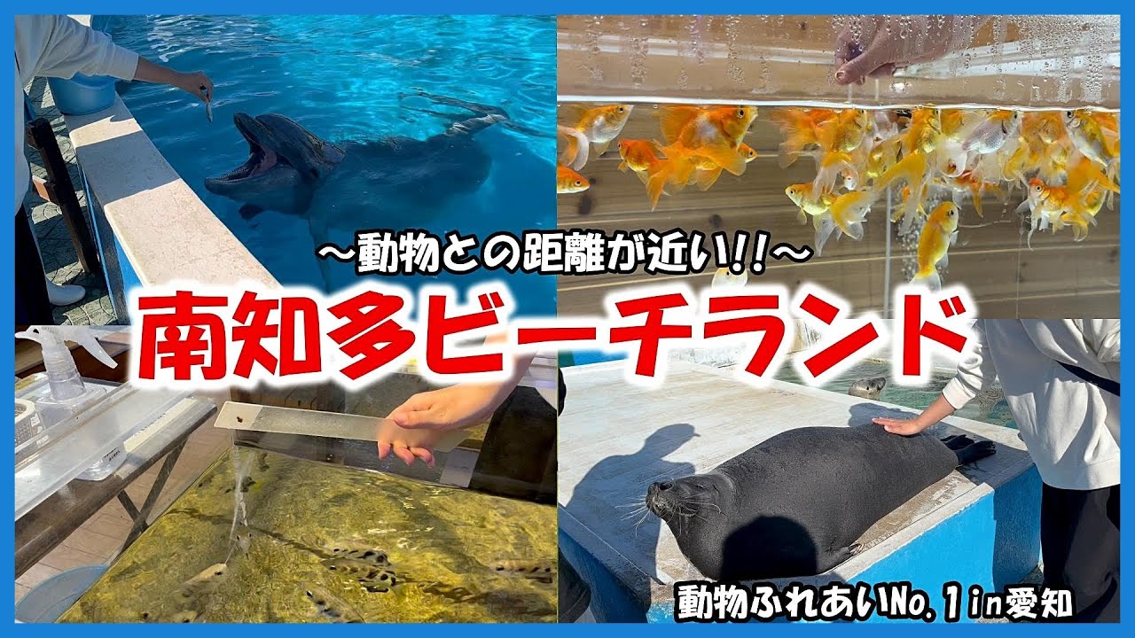【南知多ビーチランド】動物ふれあいNo 1in愛知～動物との距離が近い!!～