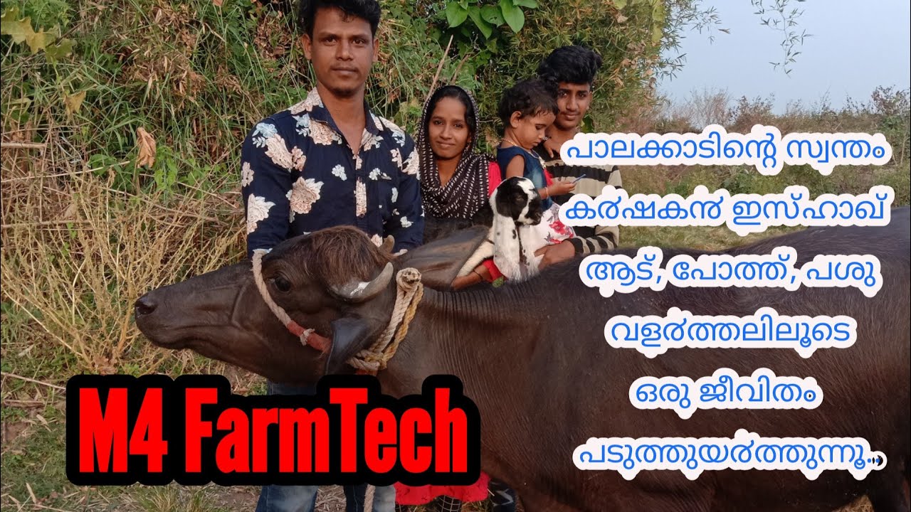 Palakkadinte Swantham adu, pothu, pashu valarthal|meet M4 FarmTech subscriber Ishaq  and his family
