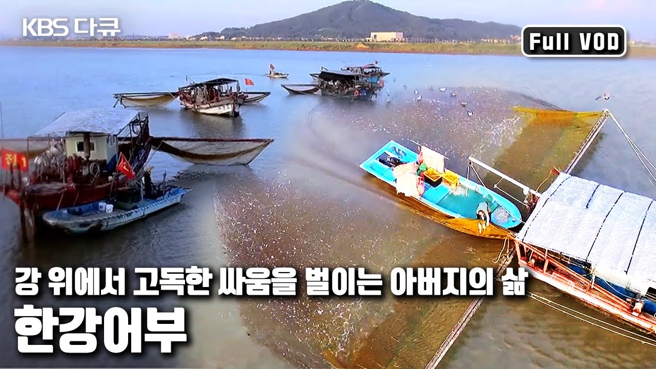 대한민국에서 조수간만의 차가 제일 많은 한강 하류 전류리 포구 '강에 살다, 한강어부의 100일' (KBS 20160918 방송)