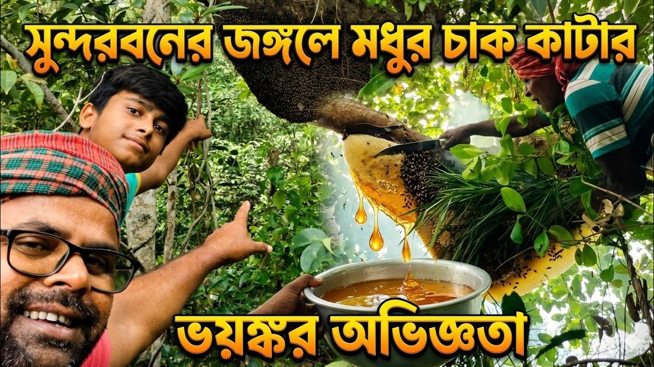 সুন্দরবনের জঙ্গলে মধু কাটতে গিয়ে মৌমাছির আক্রমণ! 😱 ভয়ংকর অভিজ্ঞতা@royalsundarbanfishing25 #honey 
