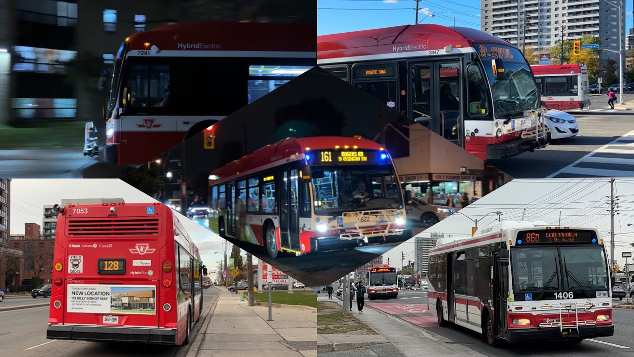 TTC Buses: Fall 2025