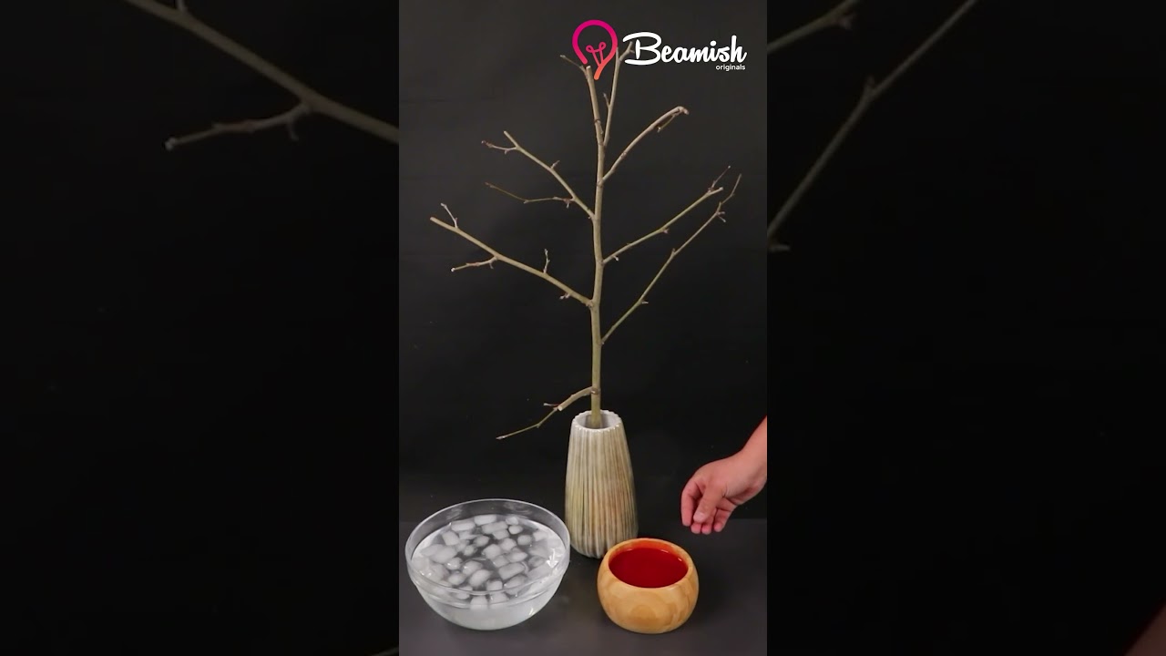 DIY Beautiful Leaves! Indoor Tree! Craft Ideas!