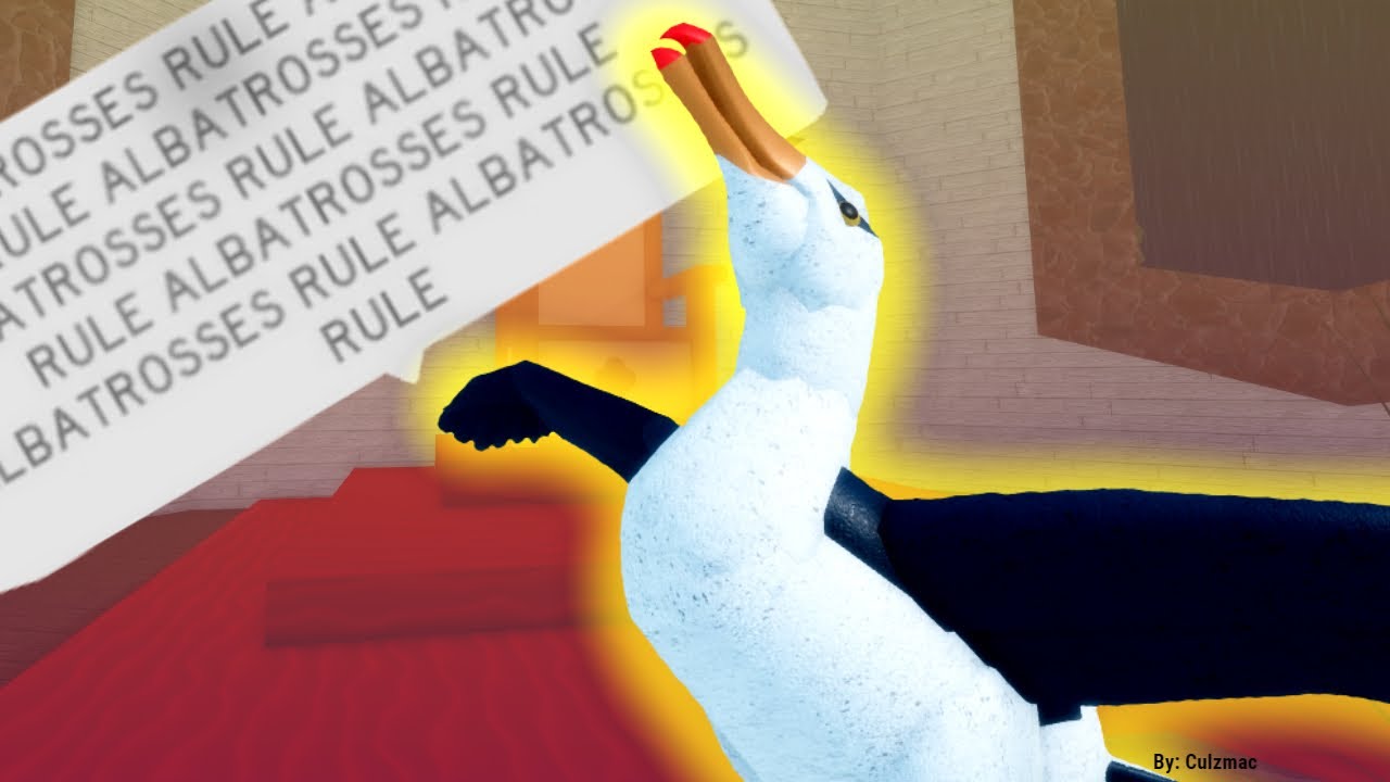 Albatross ATTACKS!!! |Feather Family|