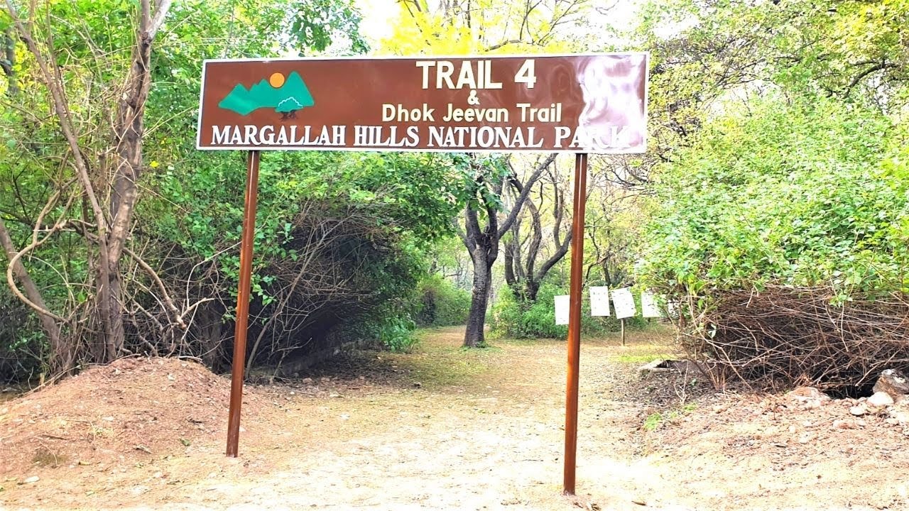 Discover the Beauty of Dhok Jeevan Loop on Trail 4 🥾🌟 || Margalla Hills || Islamabad #Hiking