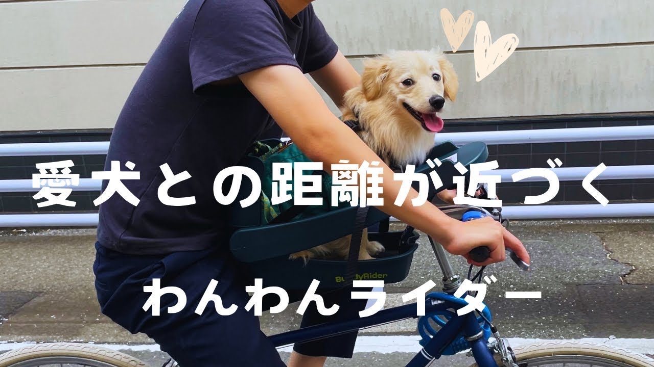 超インドアなパパをアウトドアに変えた物【Buddy Rider】