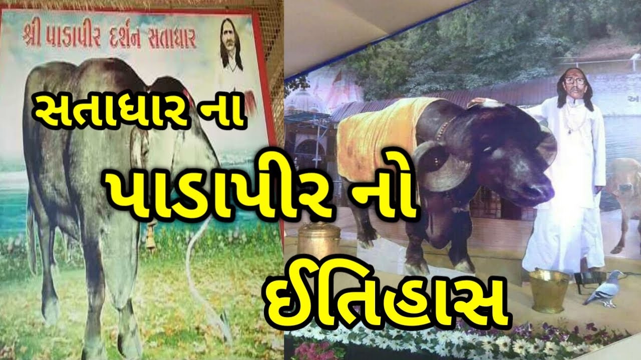 satadhar na Pada Pir no Itihas | Pada Pir History | satadhar