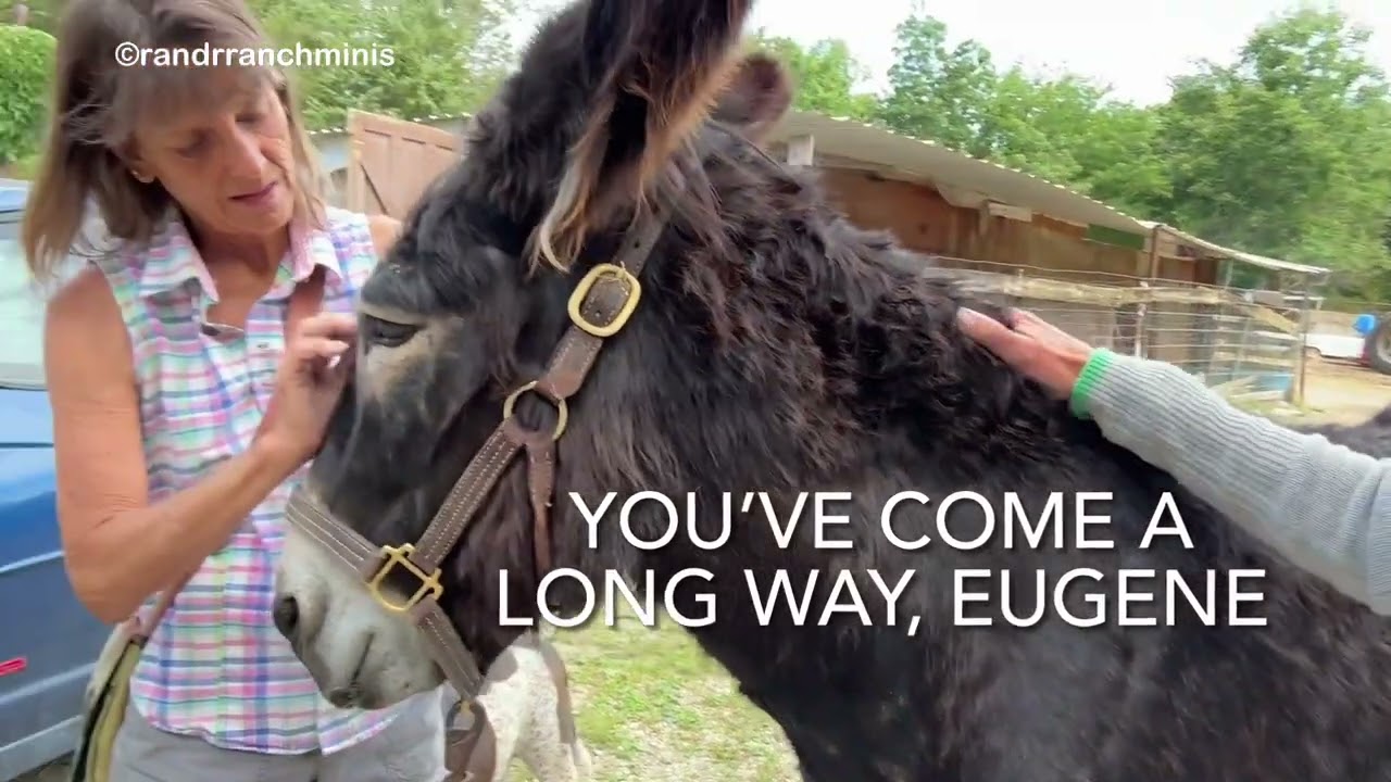 A long overdue update on Eugene. You won’t want to miss the end🥲
