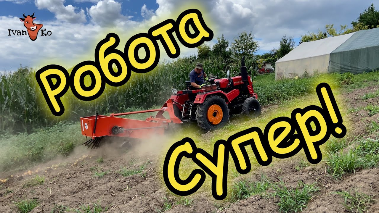 Копалка WIRAX, Shifeng і я — ідеальна бригада 😅Викопав картоплю сам! #ІванКо,#IvanKo, #Iван&Компанія