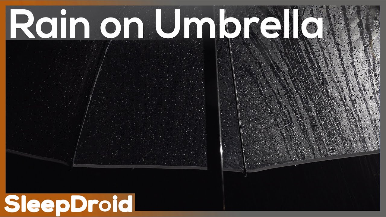 ► Rain on an Umbrella at Night ~ Plastic Umbrella Rain Sounds for Sleeping (No Thunder) Lluvia