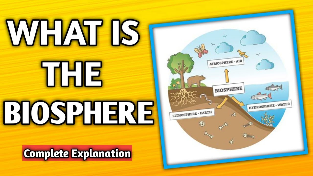 WHAT IS THE BIOSPHERE?|[Hindi]