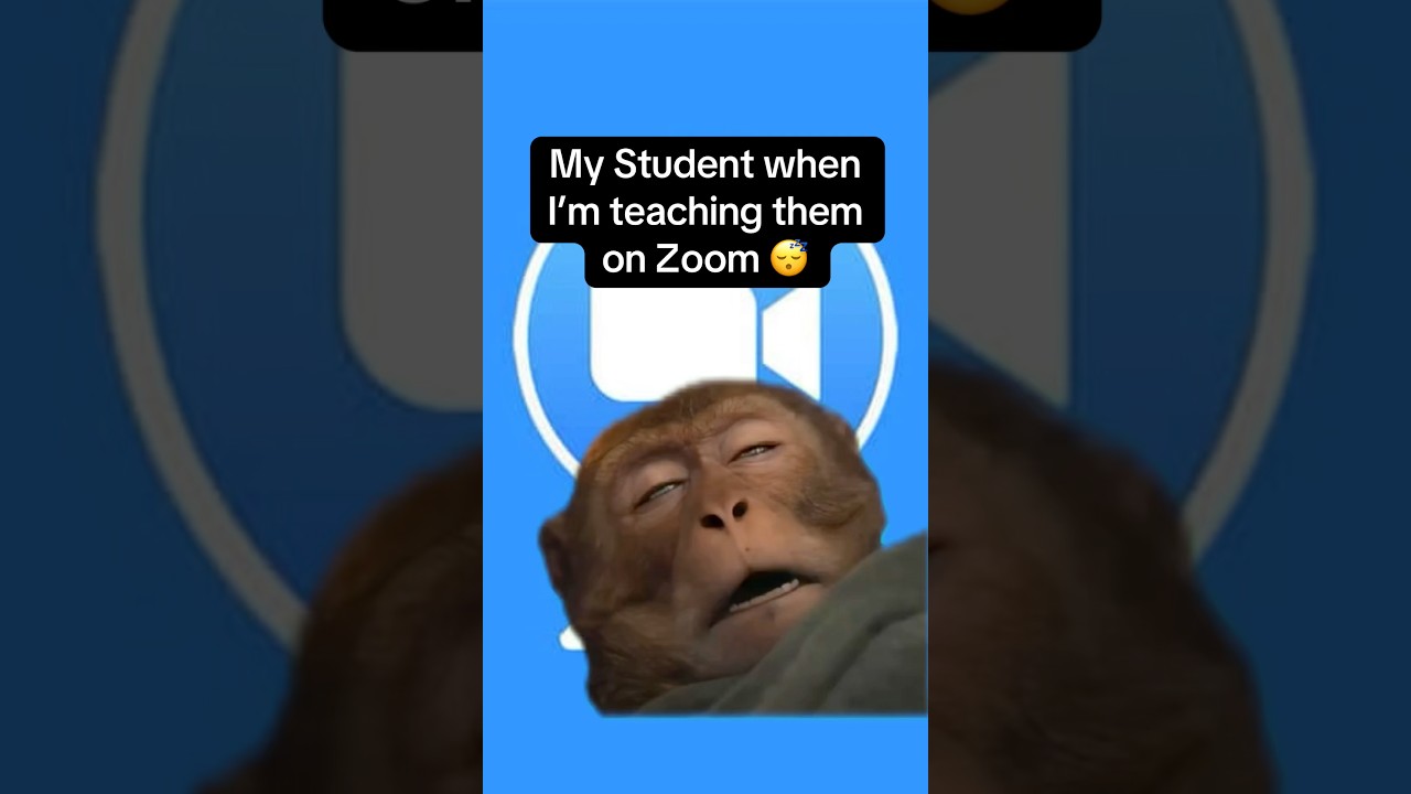 Have EXTRA fun in class with Koala! 😇 #onlineclasses #zoom #zoomclasses #koalago #education