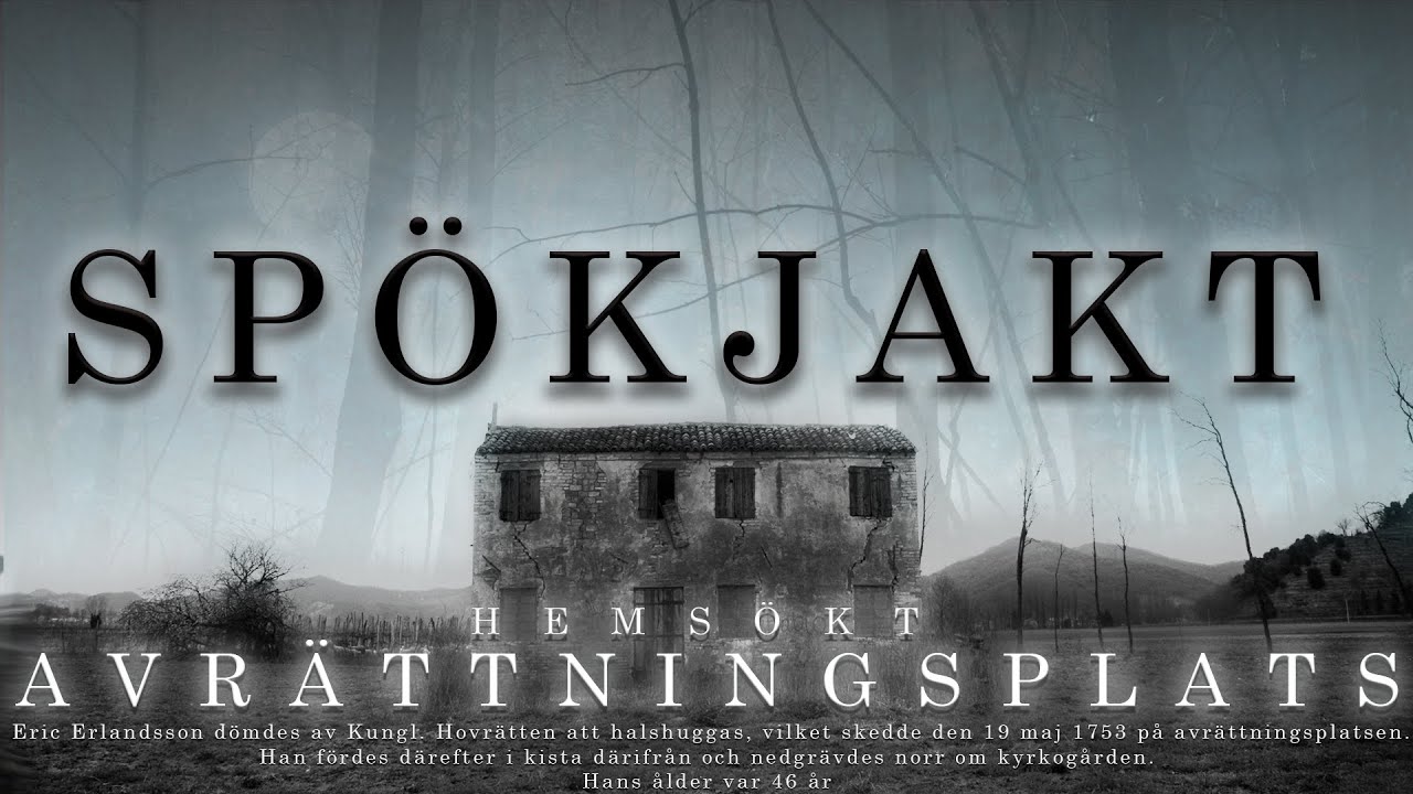 ОХОТА НА ПРИЗРАКОВ - NORA FORESTS