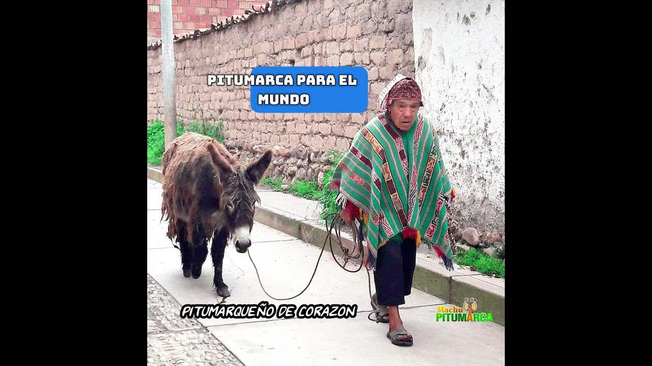MAXIMO APAZA  SOY PITUMARQUE&Ntilde;O EXITOS DE ORO #folklore