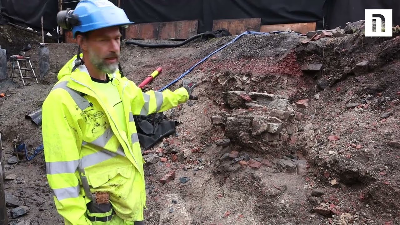 Profil i Ladegårdshagen