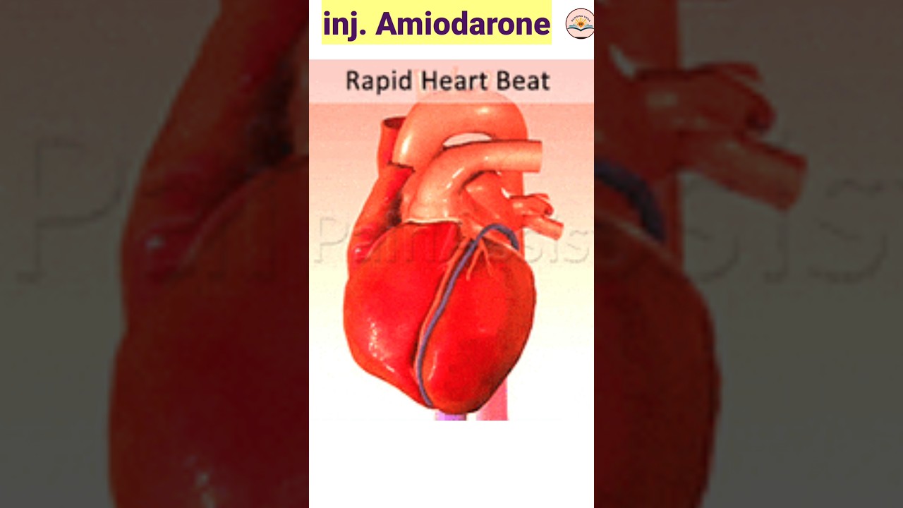 Inj. Amiodarone route and uses 