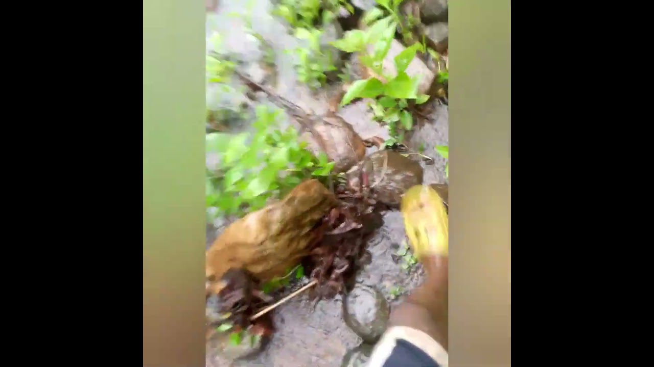 #funny