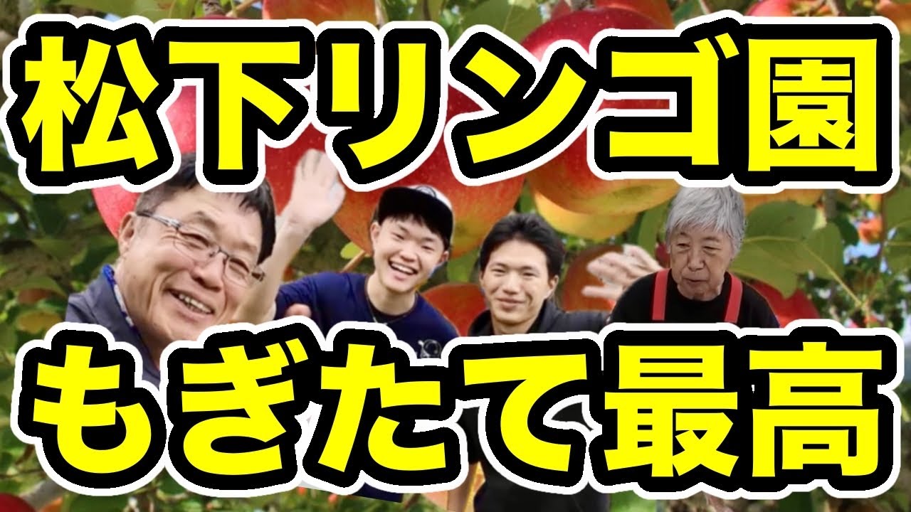 もぎたてリンゴは最高！【松下リンゴ園を訪問】