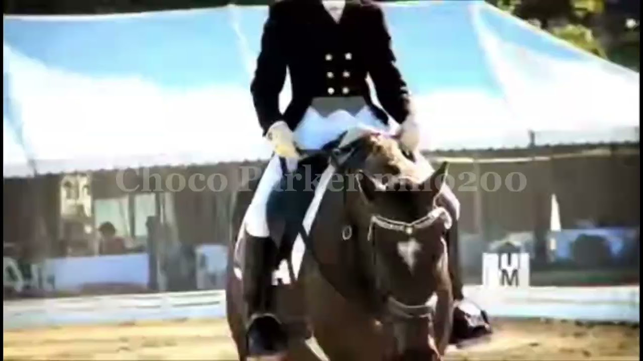 Horse music video ( god save the parm queen)