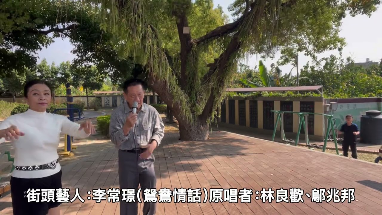 115年2月19日、街頭藝人：李常璟、演唱歌曲：鴛鴦情話、原唱者：林良歡、鄔兆邦、雲林縣斗六市南聖宮演唱￼