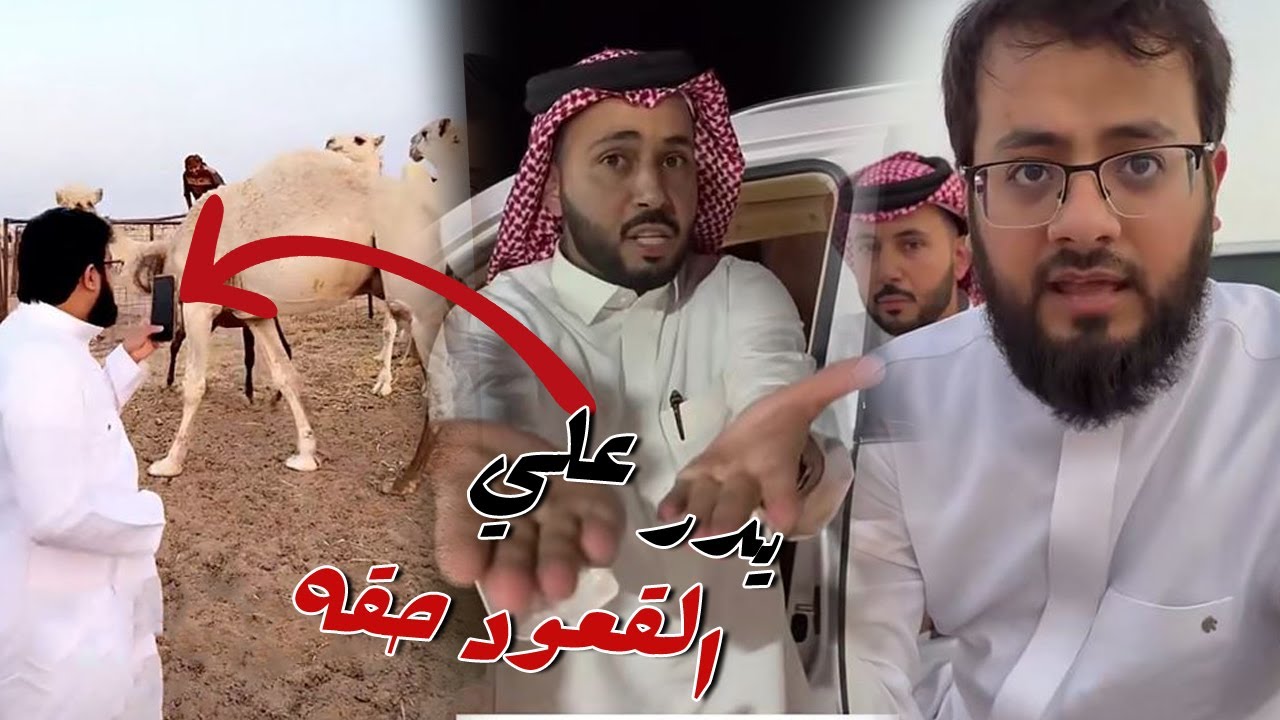 باخطيب راح عند الابل يدور علي القعود حقه مع ابو حشر