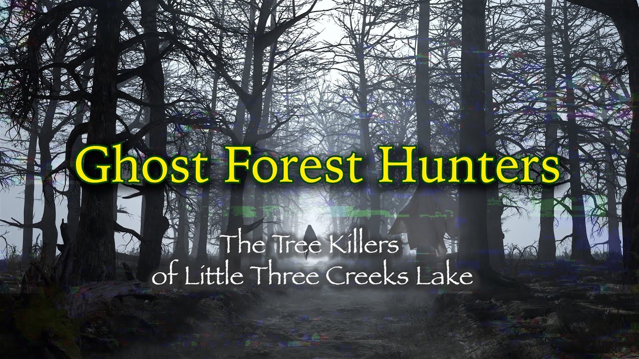Hunting down the Ghost Forest at Little Three Creeks Lake