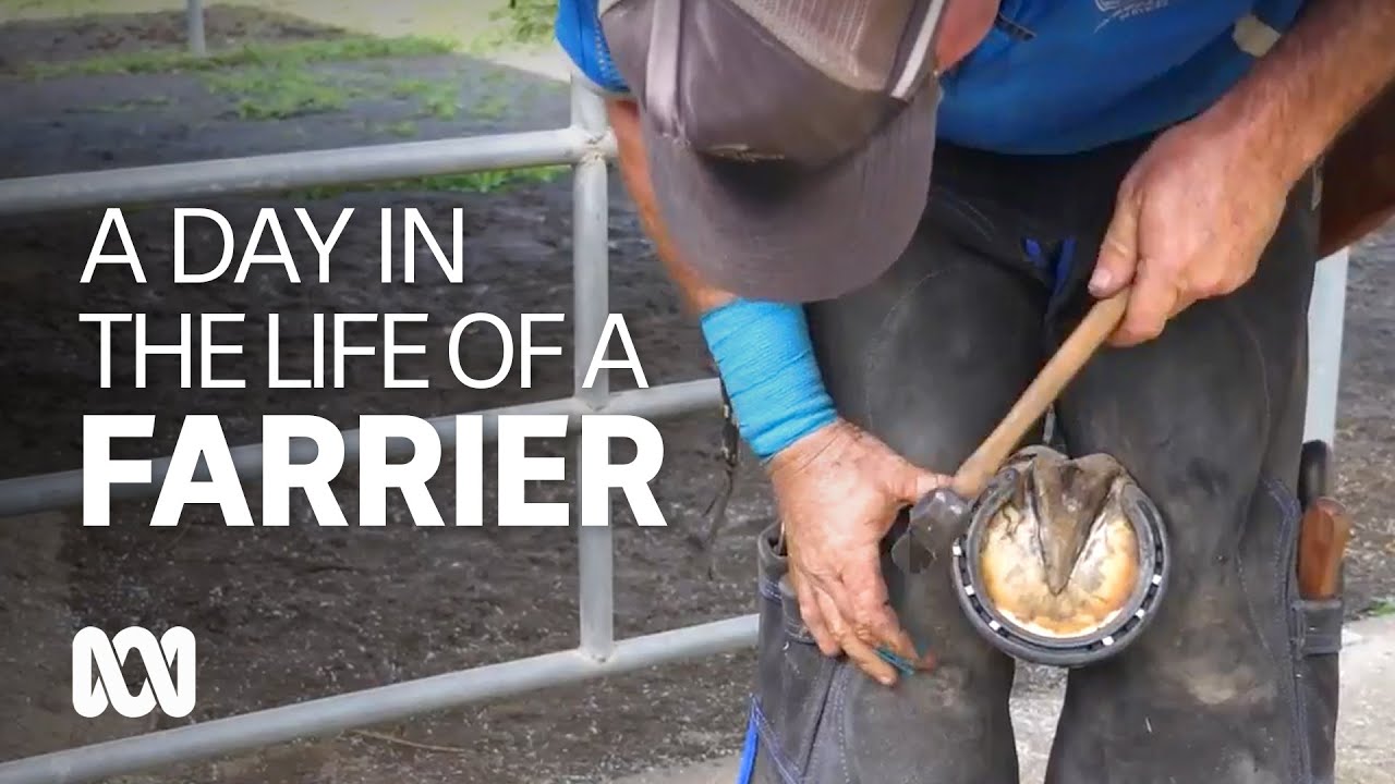 A day in the life of a farrier 🐴🧲 | ABC Australia