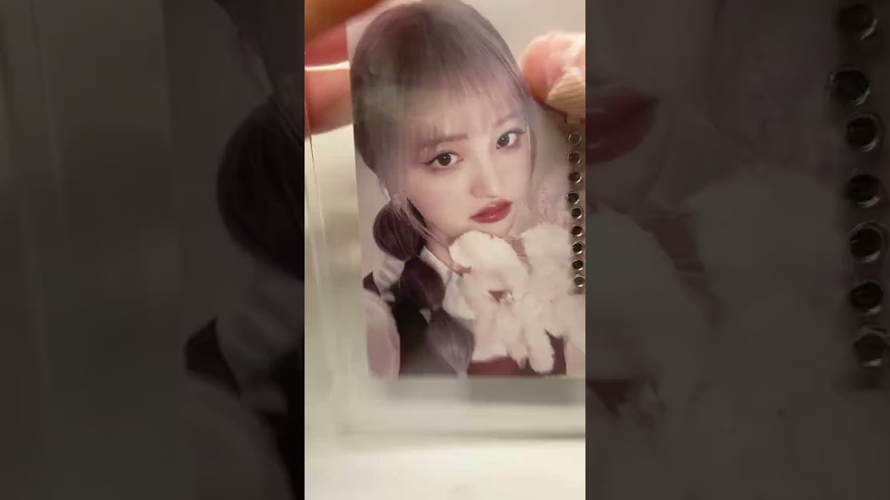 2026년 2월 15일