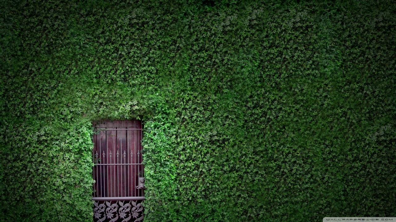 'Greensleeves' theme and variations