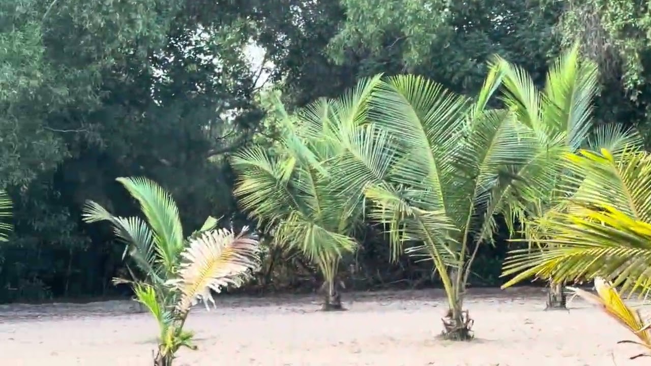 ID-39 ECR VENNAGUPATTU || 2 Acres For Sales || Low Budget || Good Investment ||IYANAR☎️-8925136707