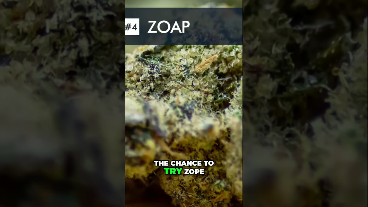 Zoap: The Strain That Hits Like a Lightning Bolt! | @WorldWeedWonders
