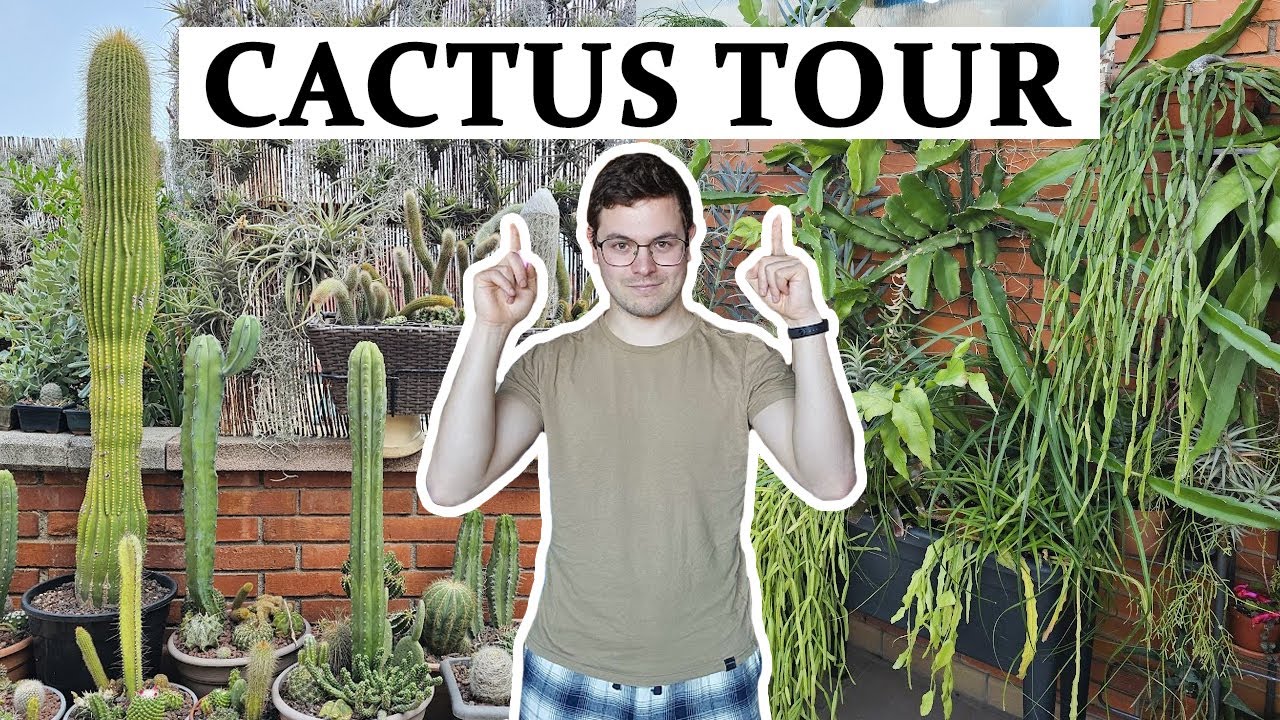 ¡Cactus Tour COMPLETO 2025!