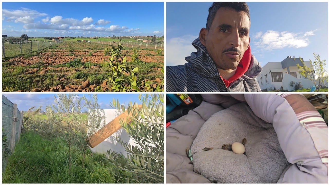 العاصفة ياربي السلامة كنت غنطير الخيرات جاتنا الفيرمة ماشاءالله 