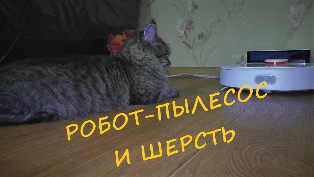 Робот-Пылесос. Уборка Шерсти. Эксперимент
