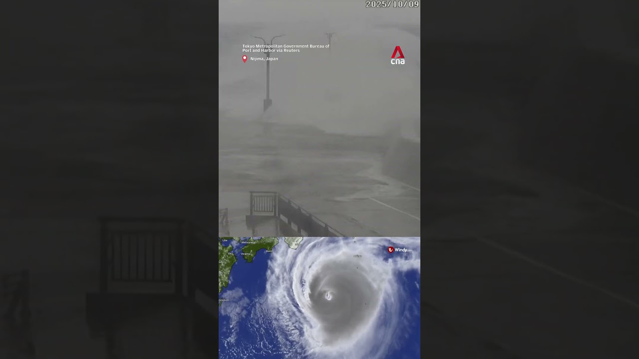 Typhoon Halong batters Japan's Izu islands
