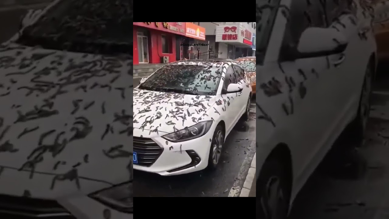 Raining 🌧️ worms 🪱 in #china!! WTF 🤬 #youtubeshorts #shortsfeed #ytshort #youtube #shorts #short