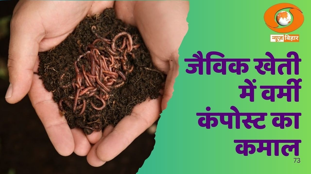 वर्मी कंपोस्ट बना किसानों के लिए भरोसेमंद और लाभकारी विकल्प | Organic Farming Special Report