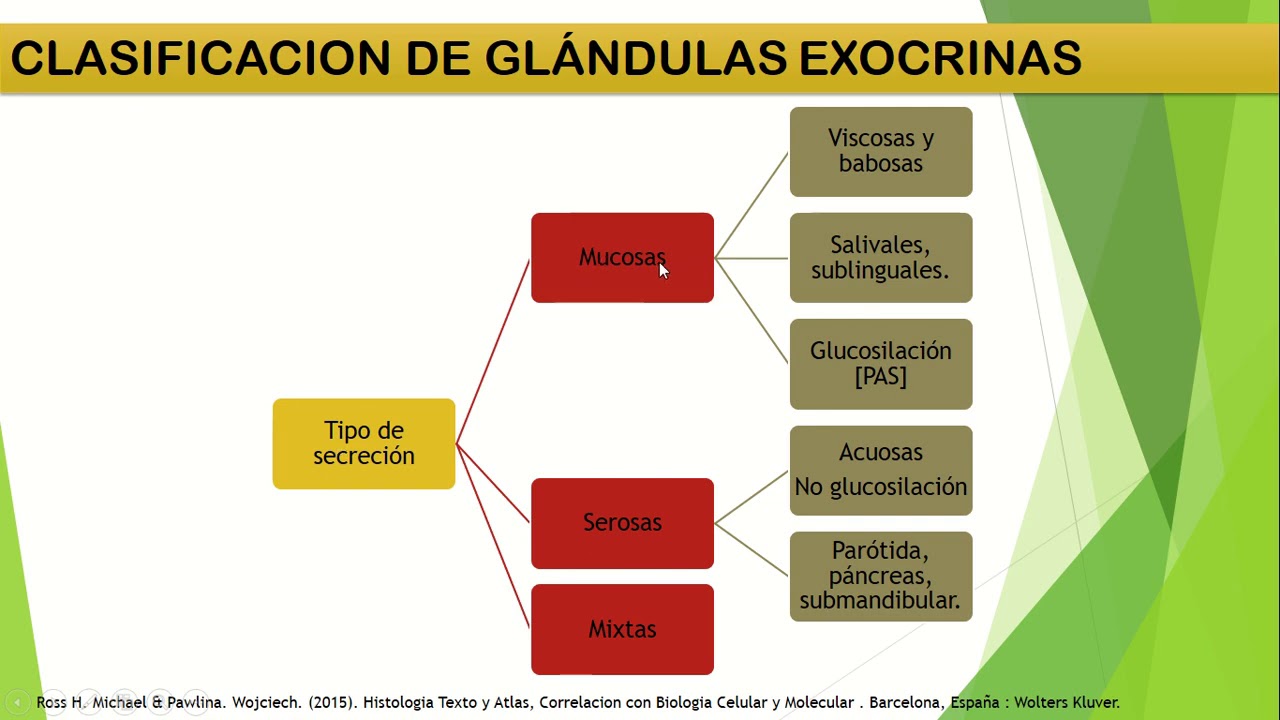 HISTOLOGÍA DE GLÁNDULAS