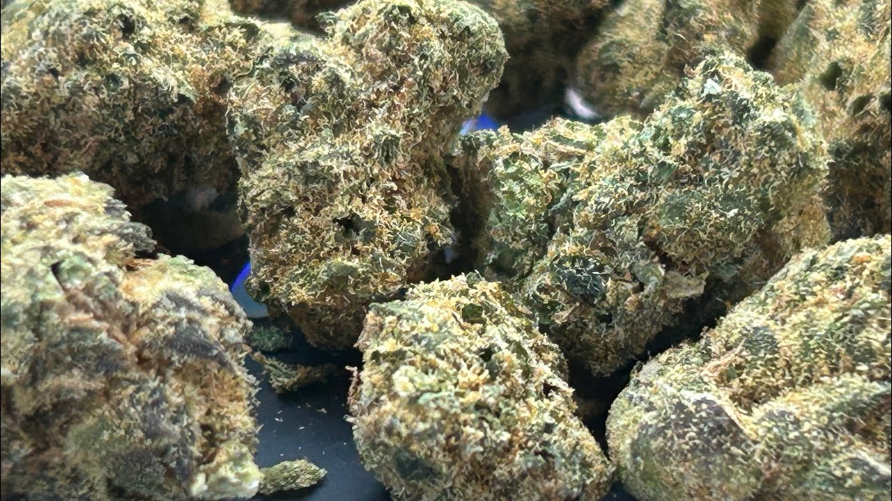 Smoke and Ride | Cannabis Review | Pressure Pack | Super Pure Runtz | 
