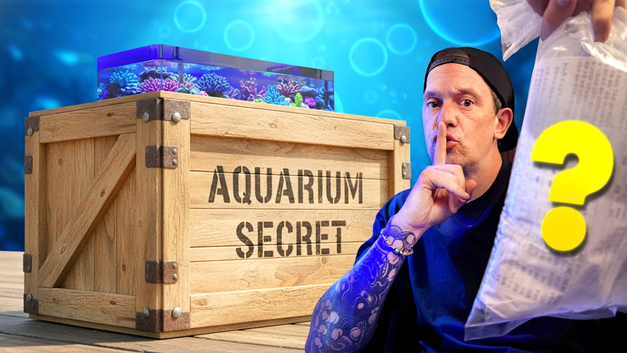 UN NOUVEAU POISSON INATTENDU POUR UN AQUARIUM SECRET ! 😱  - TOOPET