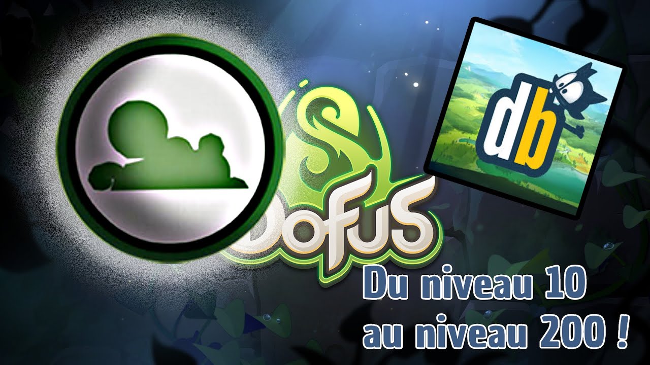 STUFF AIR DOFUS 3 UNITY | Du lvl 10 au lvl 200