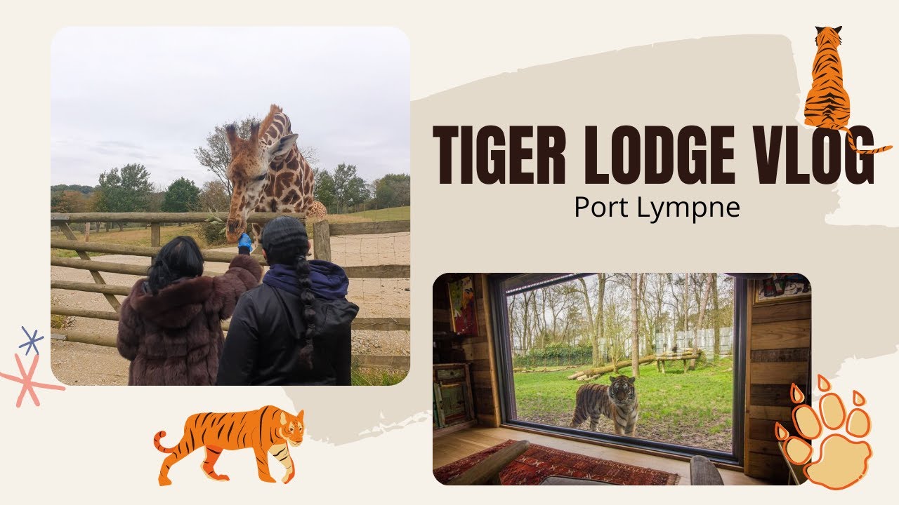 Tiger Lodge, Port Lympne Reserve Vlog | Maisha