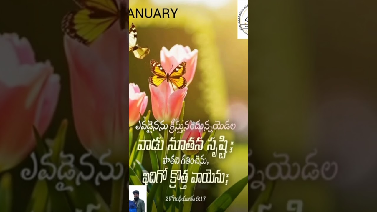 # today's god's promise 🌹🙏❤️# God bless you all 💗# NCKLCC # PS. R. Sam Vijay Kumar garu 💐#